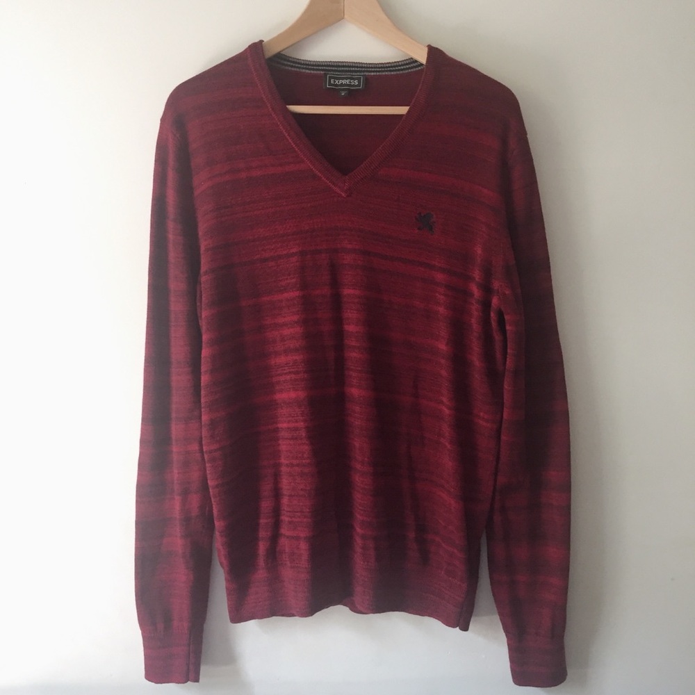 Express | Long Sleeve Knit V-neck Sweater Medium